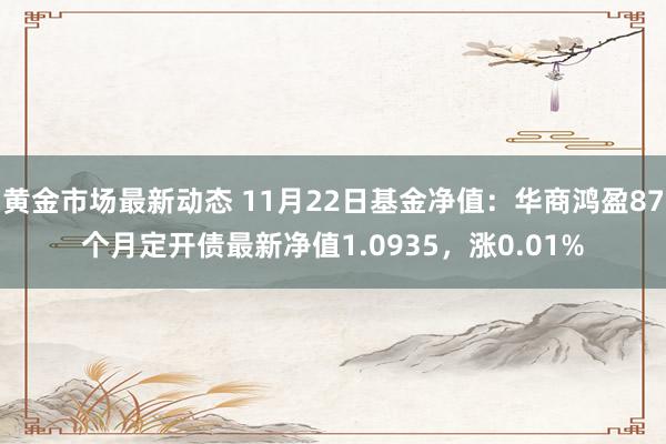 黄金市场最新动态 11月22日基金净值：华商鸿盈87个月定开债最新净值1.0935，涨0.01%