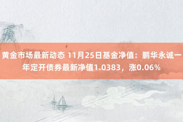 黄金市场最新动态 11月25日基金净值：鹏华永诚一年定开债券最新净值1.0383，涨0.06%