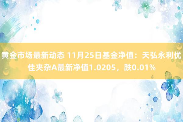 黄金市场最新动态 11月25日基金净值：天弘永利优佳夹杂A最新净值1.0205，跌0.01%