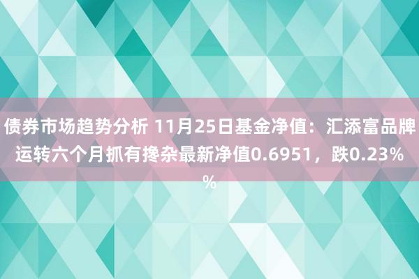 债券市场趋势分析 11月25日基金净值：汇添富品牌运转六个月抓有搀杂最新净值0.6951，跌0.23%