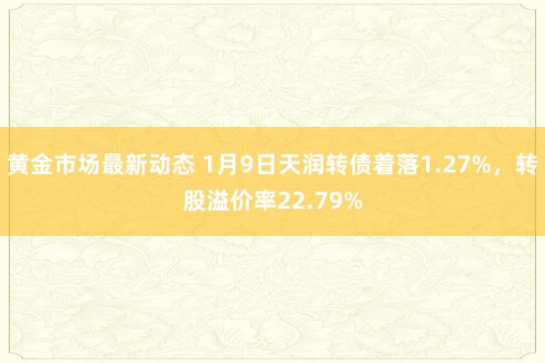 黄金市场最新动态 1月9日天润转债着落1.27%，转股溢价率22.79%