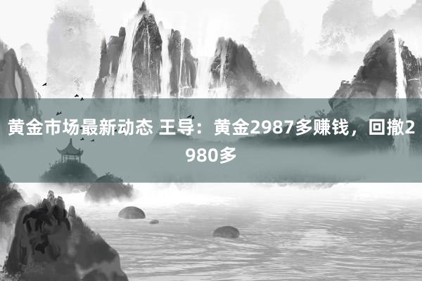 黄金市场最新动态 王导：黄金2987多赚钱，回撤2980多